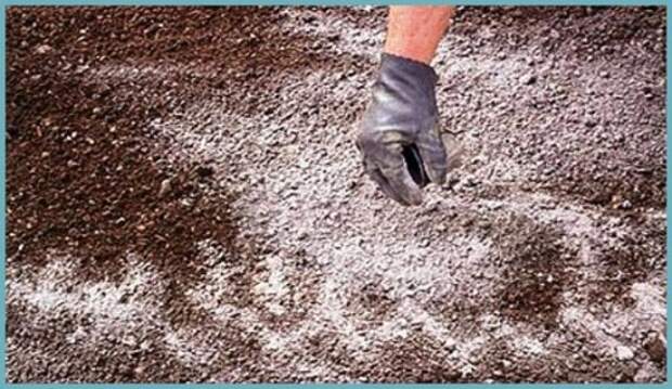 доломитовая мука для понижения кислотности почвы