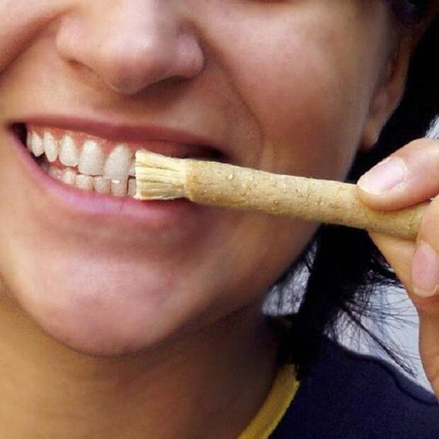 Почти каждая зубная щетка, изготовленная с 1930-х годов, все еще где-то в мире живет как кусок мусора. Как так произошло и можем ли мы что-то изменить