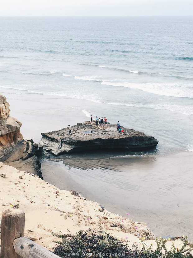 This was taken during the first few feet of hiking up the Broken Hill Trail at the Torrey Pines State Reserve in April. That huge slab of rock is usually full of people taking in the view of the Pacific.