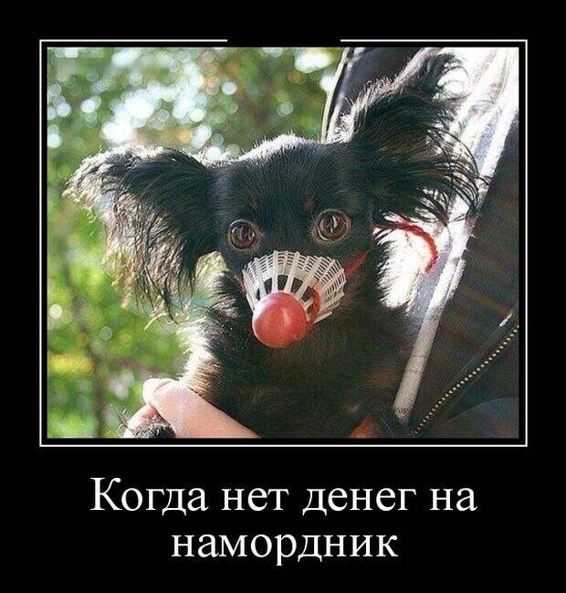 Демотиваторы №1102 (30 фото)