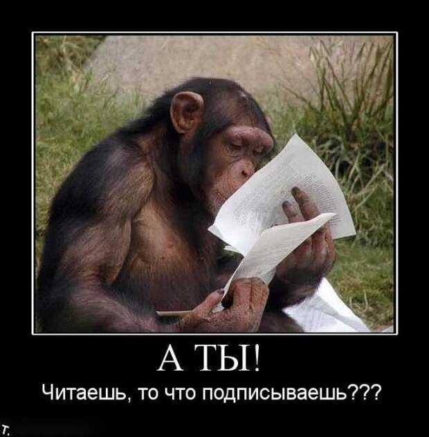 Подборка демотиваторов (84 фото)
