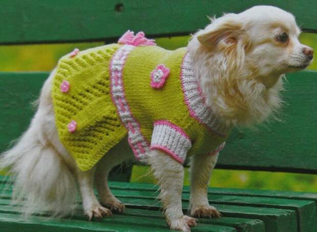 Вязанный Вязанный