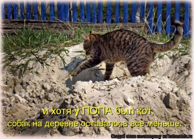 Котоматрицы (картинки с надписями)