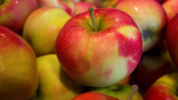 В Россию из-за заморозков привезут яблоки из шести стран