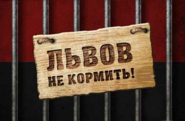 Граждане стран ЕС в панике бегут с Западной Украины | Русская весна