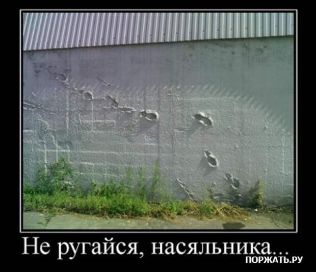 Демотиваторы приколы и юмор в смешных фотках с надписями.