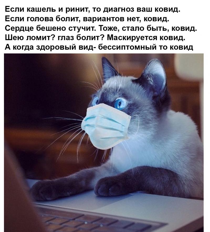 Картинки про коронавирус