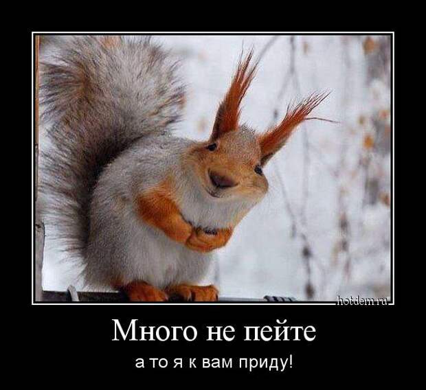 Демотиваторы демотиваторы, прикол, смех, юмор