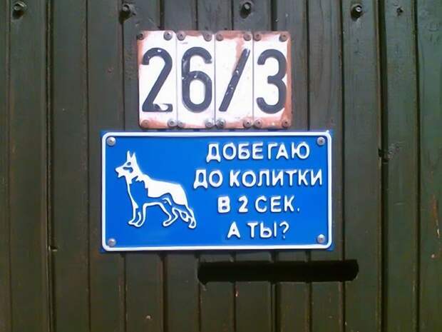 Таблички, правдивость которых не хочется проверять Таблички, правдивость которых не хочется проверять животные, прикол
