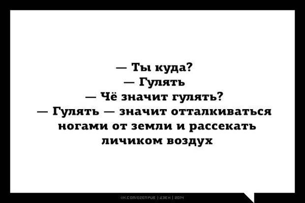 юмор от дзен (27)
