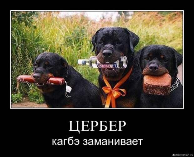 Разные смешные демотиваторы, новые приколы на фото.