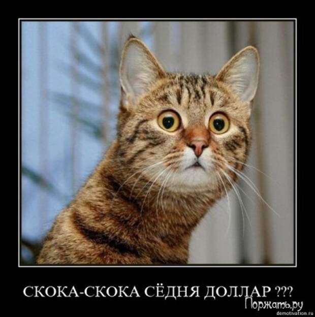 Демотиваторы (21 фото)