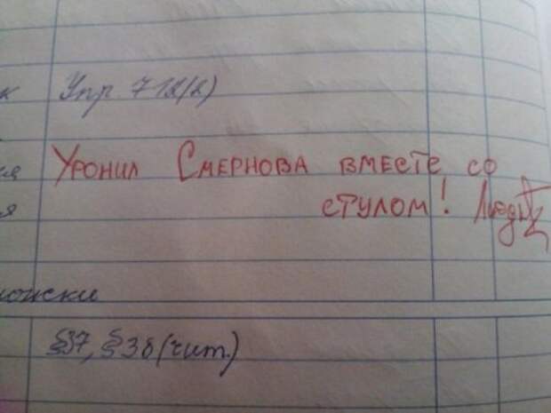 Смешные записи в школьных дневниках (13 фото)