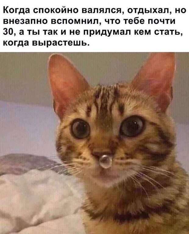 4. Про тех, кто так и не нашел себя к тридцати годам