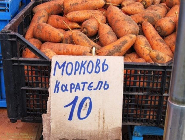 ценники маразмы на прилавках магазинов (28)