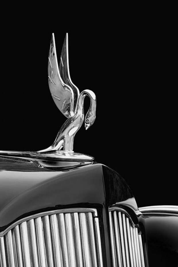 Packard Series 1607 Brunn All Weather Cabriolet &amp;#039;1938