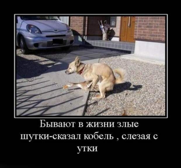Суперновые демотиваторы.
