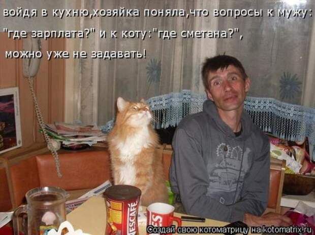 Котоматрицы(картинки с надписями)