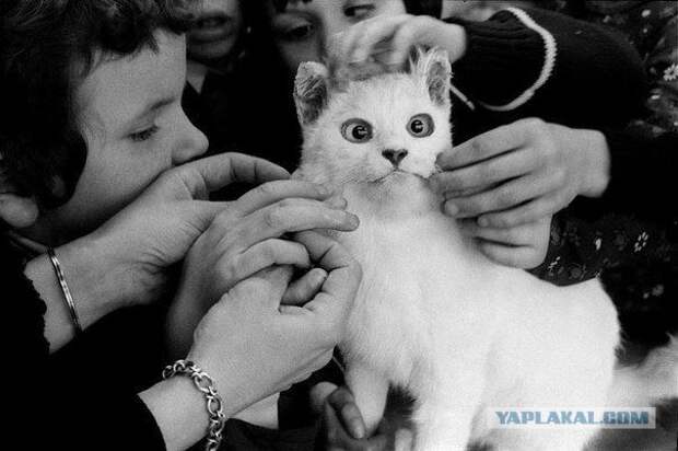 Редкие исторические фото