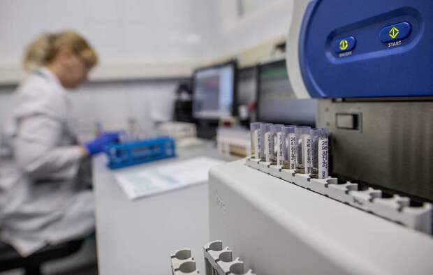 Роскачество выявило фенолы в школьных брюках для мальчиков