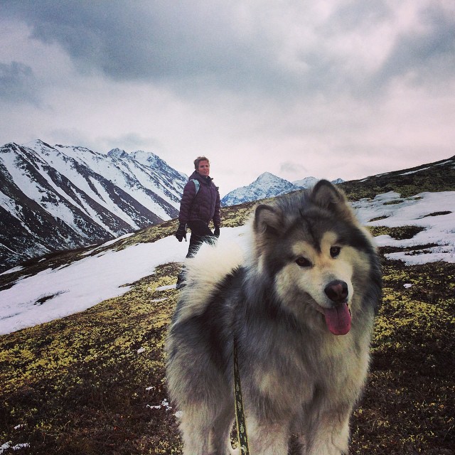 Аляска на фото в Instagram   Instagram, аляска, фото