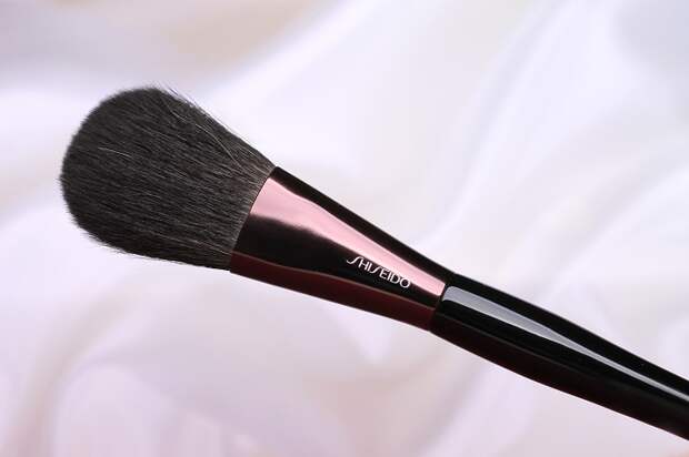 Shiseido_Brush