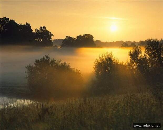 Andris_Eglitis_014 Andris_Eglitis_014