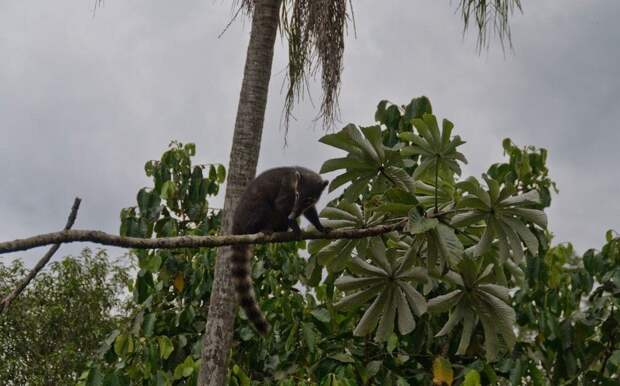kartinok-veselyh-interesnyh-kartinki-smeshnye-kartinki-fotoprikoly kartinok-veselyh-interesnyh-kartinki-smeshnye-kartinki-fotoprikoly