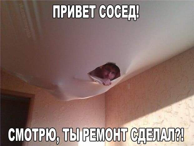 Смешные картинки с надписями видео, прикол