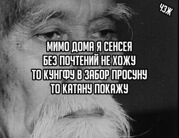 Без почтенный. Шутки про сенсея. Приколы с сенсеем. Цитаты сенсея смешные. Цитаты Сенсеев.