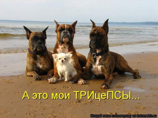 Мысли вслух :)