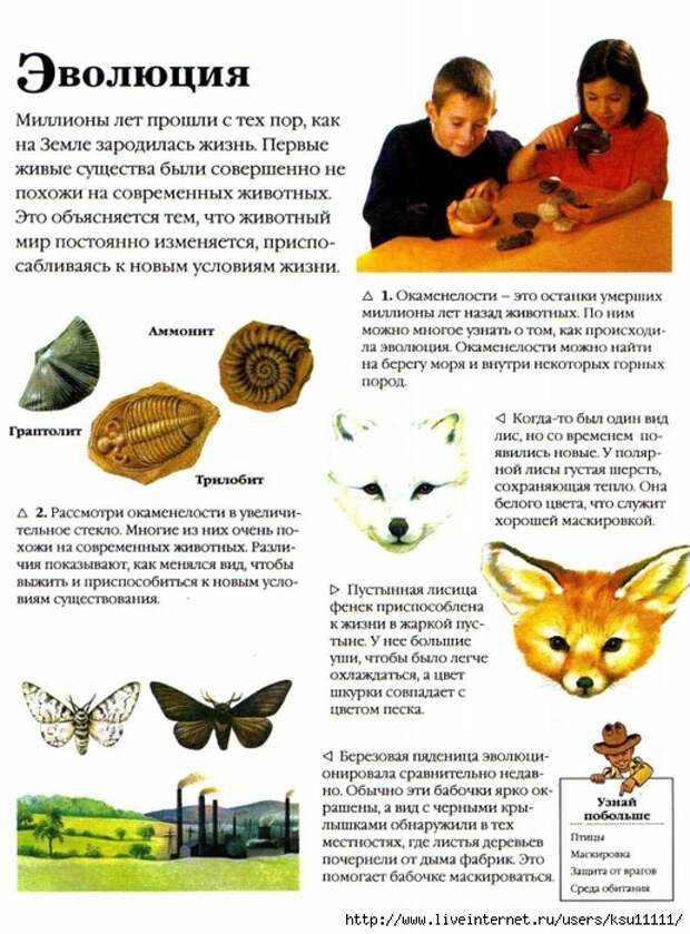 Entziklopedia dlya detei.Vse o jivotnih ot a do ya..page153 (516x700, 297Kb)