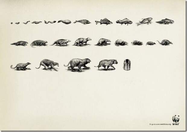 Креативная реклама WWF (9)
