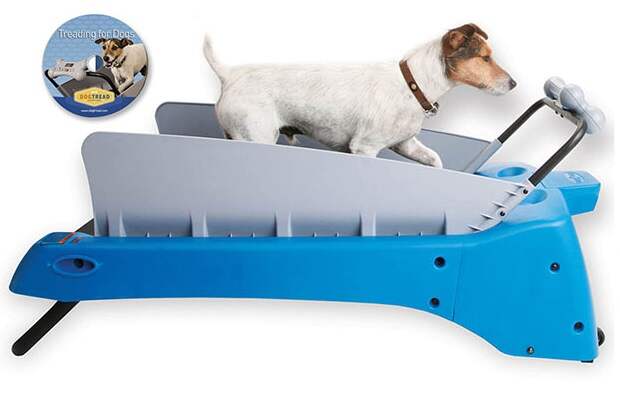 DOG-TREADMILL