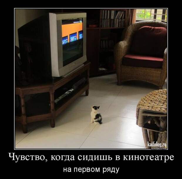 Смешные демотиваторы - 252 (55 демотиваторов)