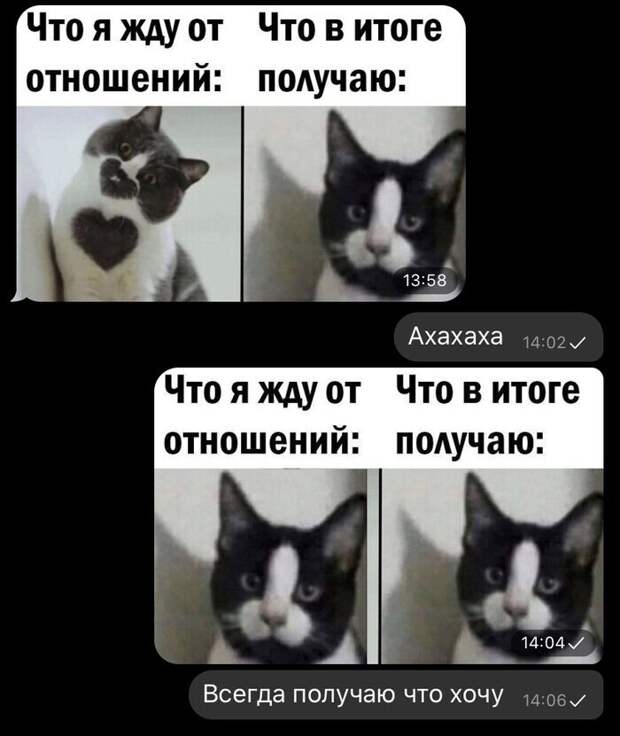 И смех и грех И смех и грех