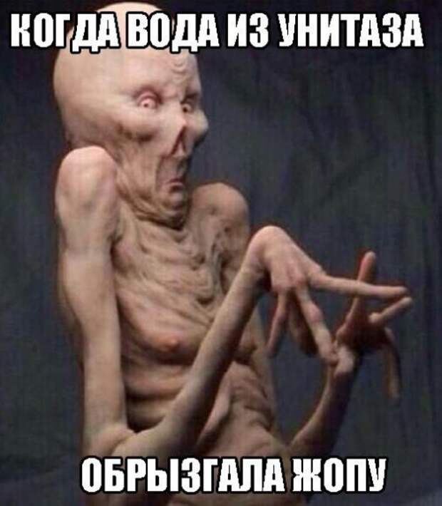 Прикольные фотомемы (22 шт)