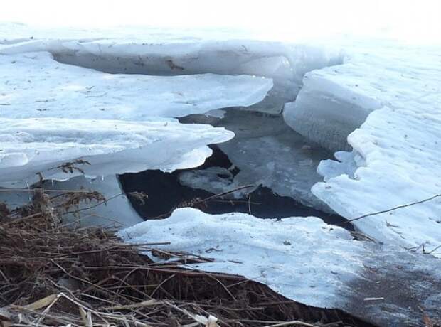 ice-march-570x423