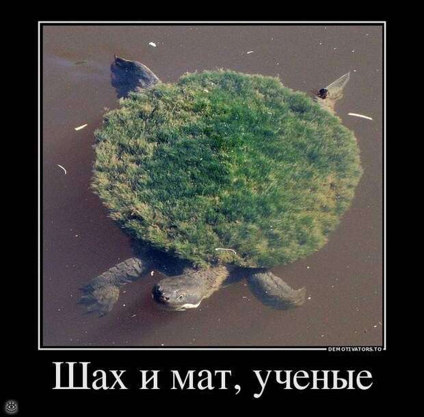 Отдохнул - отдохни ещё! 6