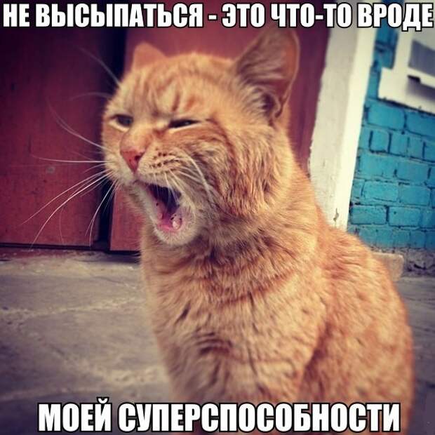 Смешные картинки с надписями прикол, юмор