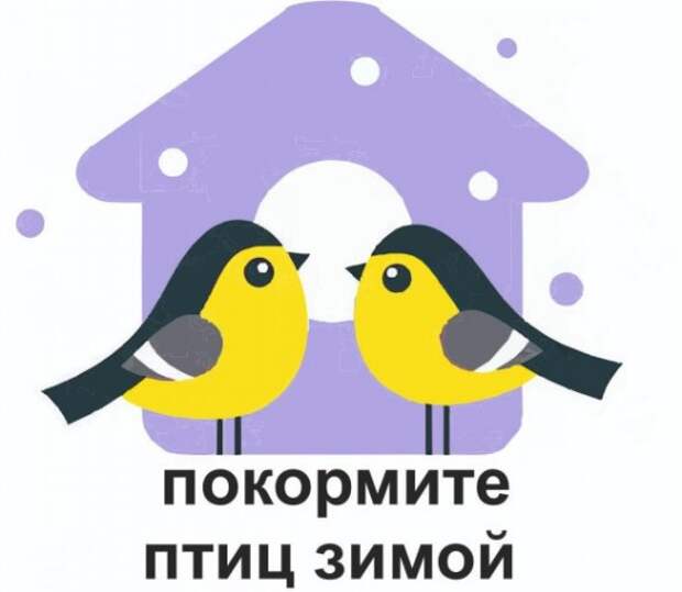 Внимание Принимаем участие