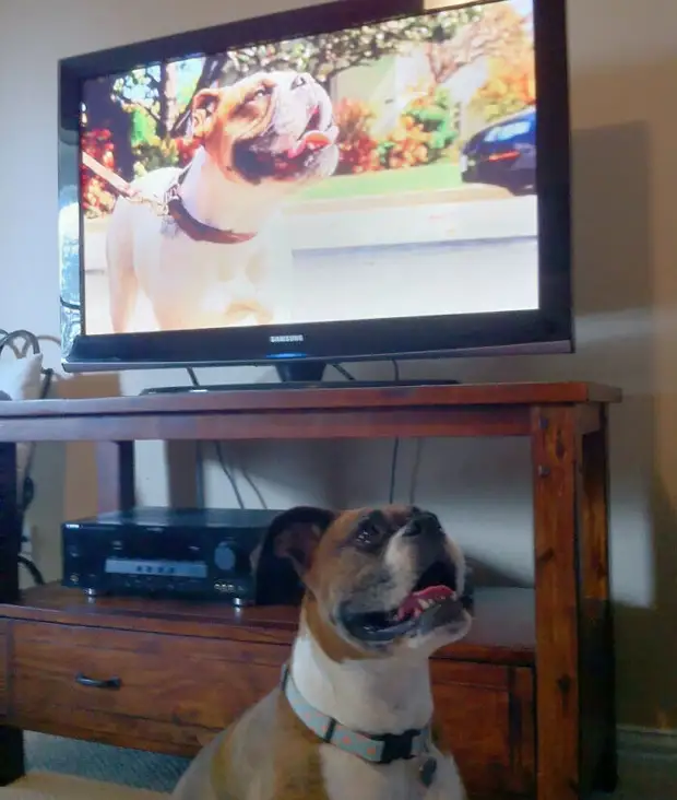 ���� � ������� ��� �������� ���������� � ���� ��������