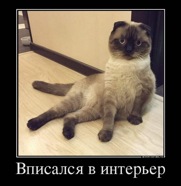 Вписался в интерьер демотиватор, юмор