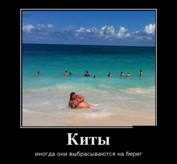 Демотиваторы картинки, прикольное
