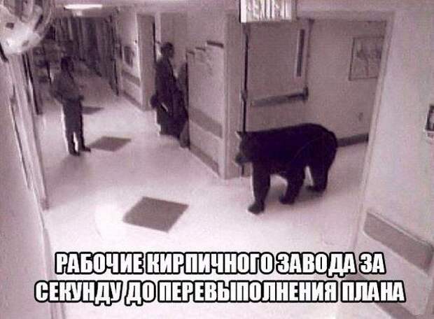Вот так за несколько секунд можно открыть собственный заводик Вот так за несколько секунд можно открыть собственный заводик завод, прикол, рабочие