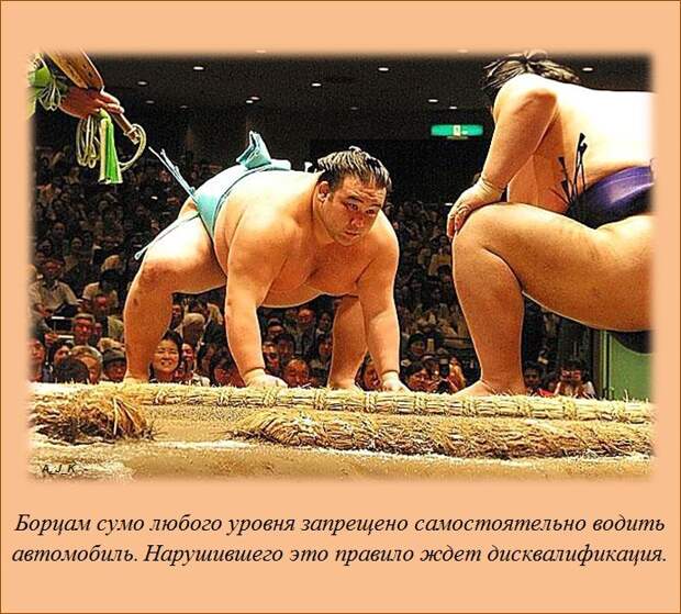 Только факты и ничего, кроме них (20 штук) Только факты и ничего, кроме них (20 штук)