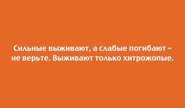 Неожиданные повороты на каждой новой открытке! Неожиданные повороты на каждой новой открытке!