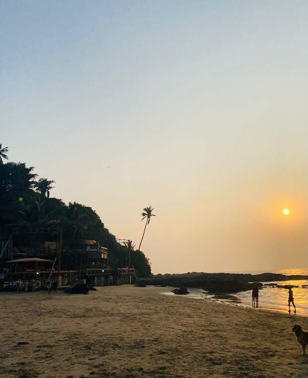 Отдых в Гоа: от белоснежных пляжей юга до северных обителей хиппи