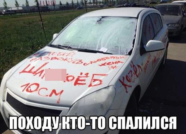 Смешные картинки с подписями катинки, прикол, юмор