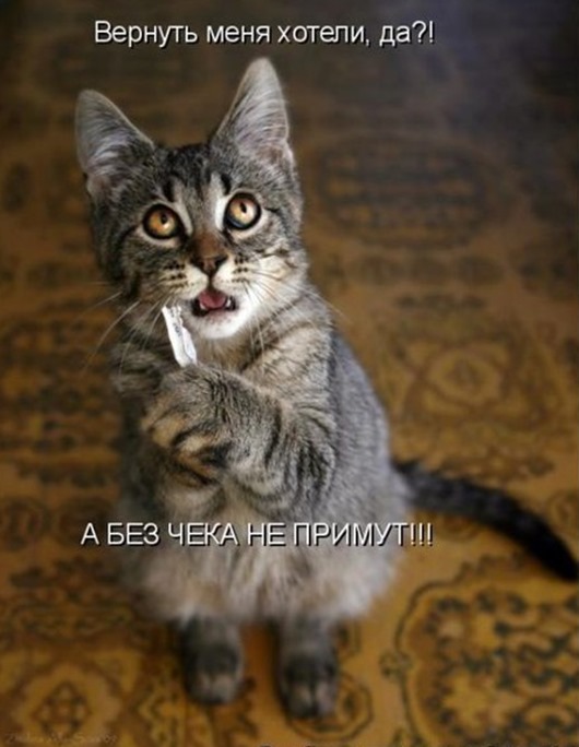 x_d8c9a8b3
